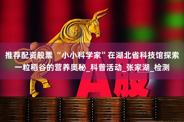 推荐配资股票 “小小科学家”在湖北省科技馆探索一粒稻谷的营养奥秘_科普活动_张家湖_检测